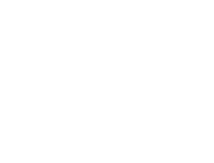 GenesisPartnershipFund-FooterBLANCO